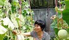 快来这个村吃瓜新闻,体验别样“吃瓜”乐趣！