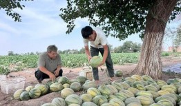 缅北吃瓜网址,带你领略神秘北缅风土人情