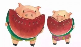 无敌猪吃瓜,揭秘猪界“吃瓜群众”的趣味生活