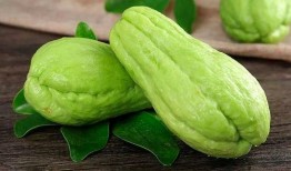 吃瓜嘛嘛香,揭秘“吃瓜嘛嘛香”背后的故事