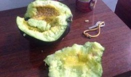 以前看新闻都是吃瓜,那些年我们一起吃过的瓜