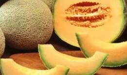 多人吃哈密瓜,多人品尝哈密瓜的美好时光