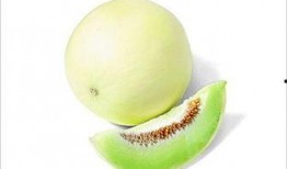 网红雪梨吃瓜,揭秘网红圈背后的真实故事