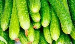 润总吃瓜,揭秘娱乐圈幕后风云