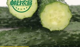 青农吃瓜事件,一场网络舆论的风暴与反思