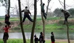 女装店吃瓜爬树,吃瓜爬树，揭秘日常生活中的趣味瞬间