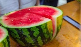 我把吃瓜系统上交了椰,椰子生成新篇章