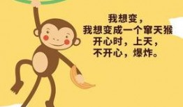 吃谷瓜的文案短句,探寻传统与创新的完美融合