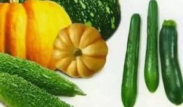 书亦吃瓜女友,揭秘娱乐圈背后的甜蜜与辛酸