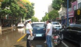 翻车司机路边吃瓜,意外走红引网友热议